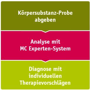 Analyseschritte